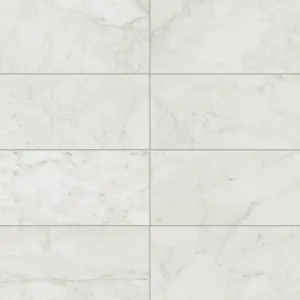 Aniston 12x24 Matte Porcelain Tile in Carrara Bianco