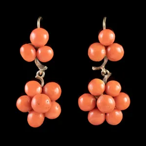 Antique Victorian Coral Drop Earrings 18Ct Gold Circa 1900