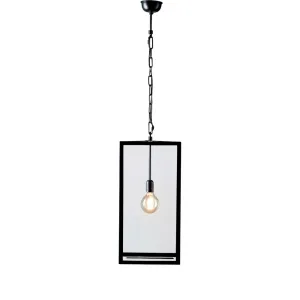 Archie Rose Large Hanging Lamp