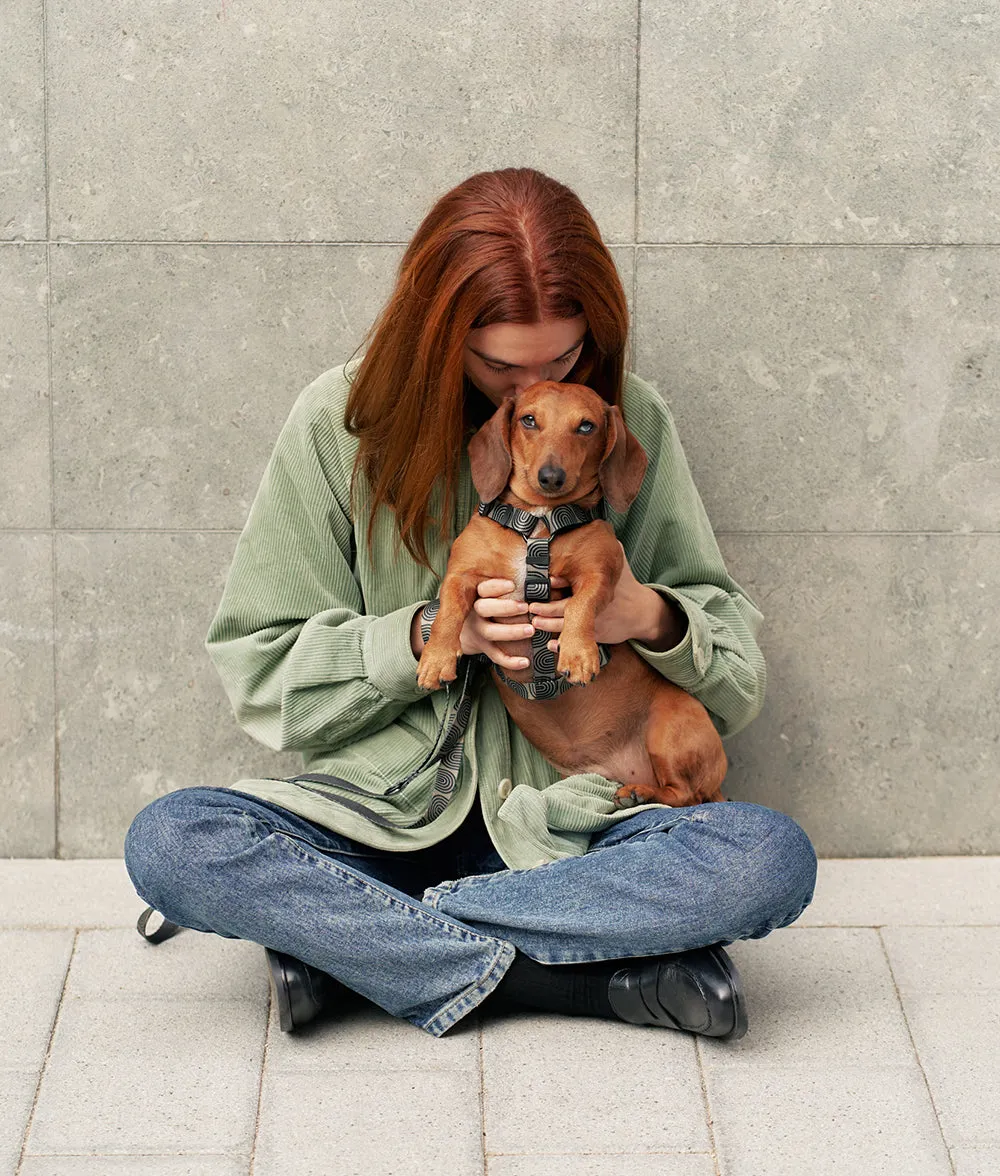 Arnés PET Reciclado Diseño Japón Verde, Juno