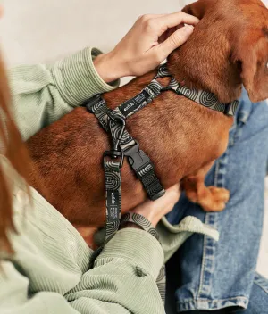 Arnés PET Reciclado Diseño Japón Verde, Juno