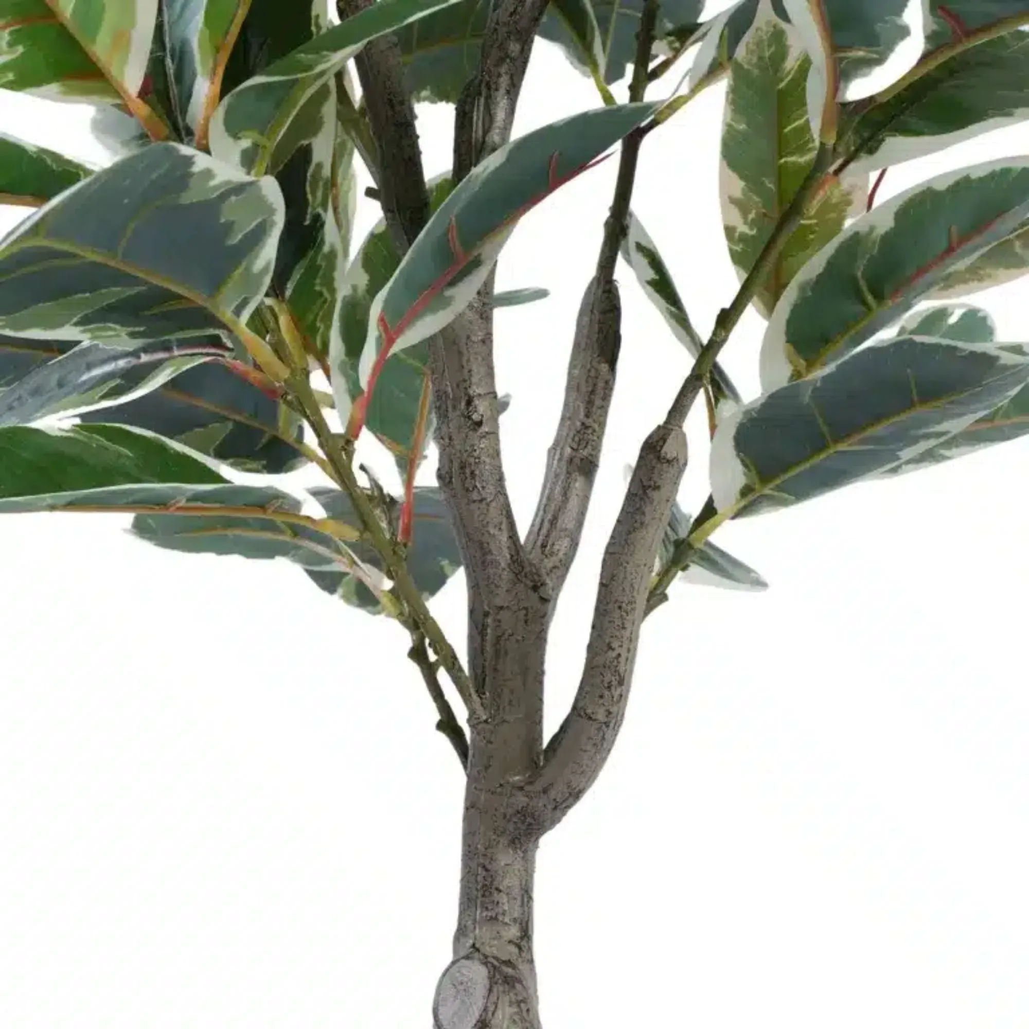 Artificial Bushy Variegated Ficus Tree (Rubber Tree) 120cm