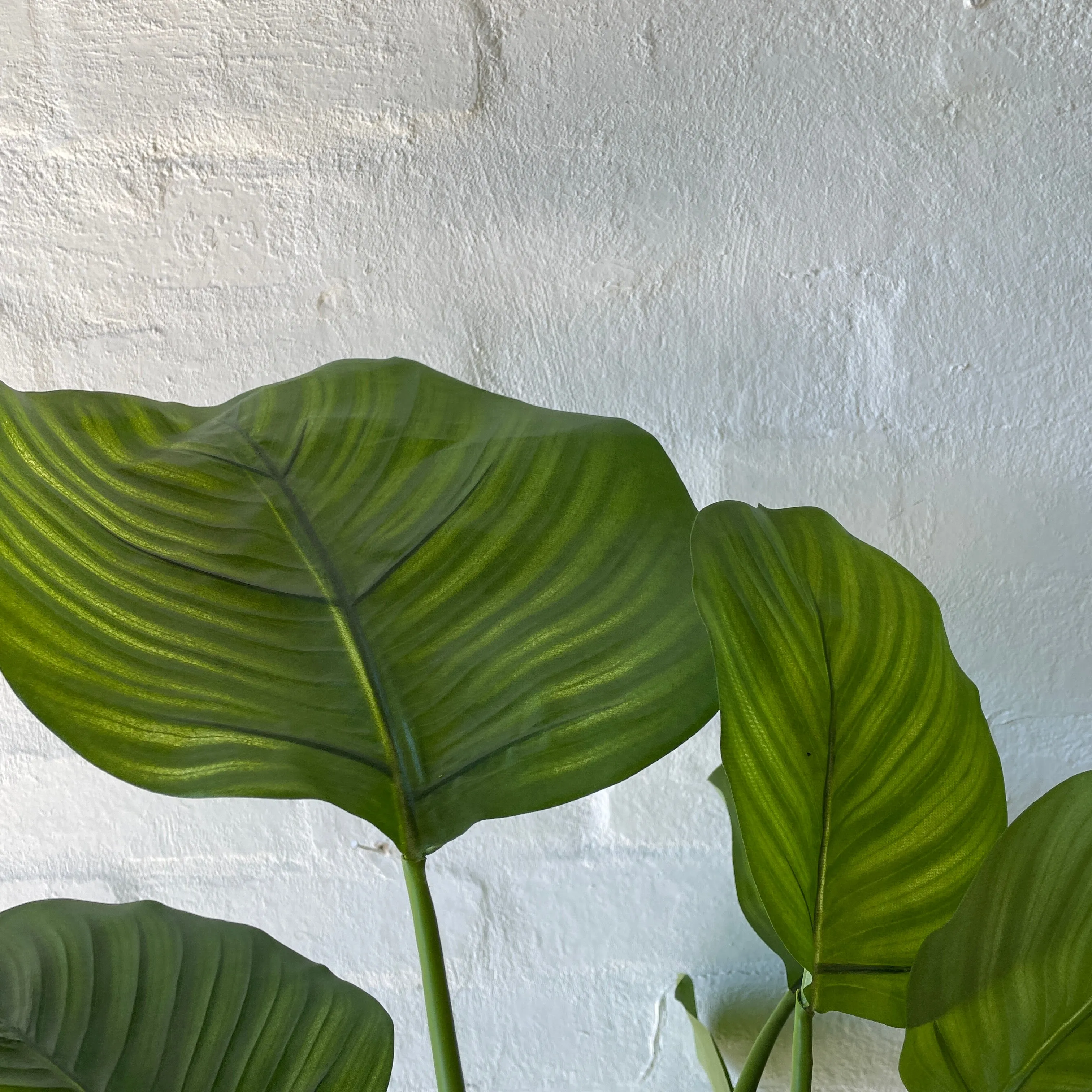 Artificial Calathea | Green