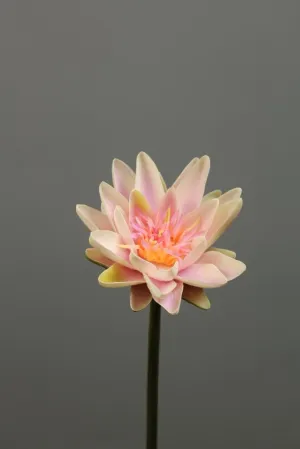 Artificial Flower Water Lily real touch floramatique SB005 (Pink) -REA1-6