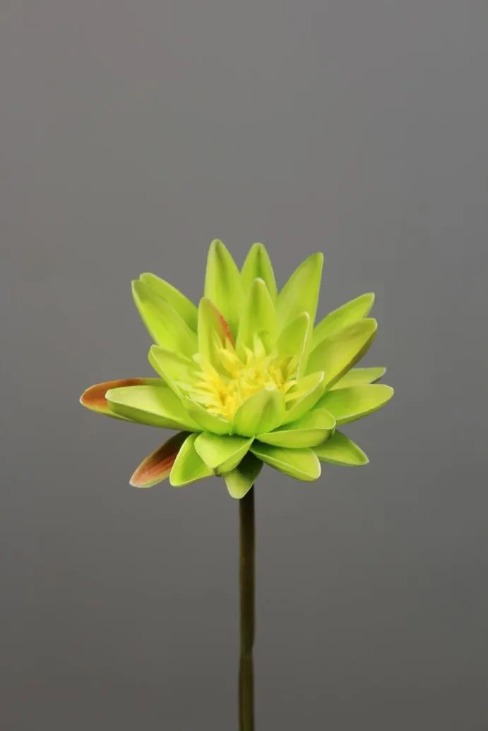 Artificial Flower Water Lily real touch floramatique SB005 (Yellow) -REA1-7