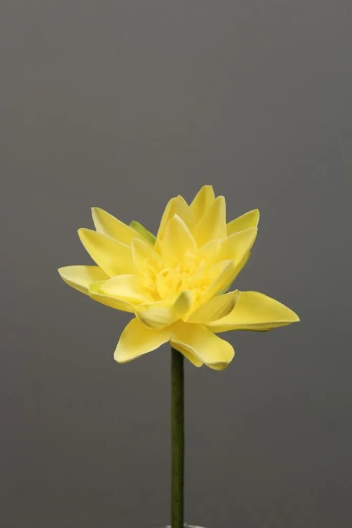 Artificial Flower Water Lily real touch floramatique SB005 (Yellow) -REA1-7