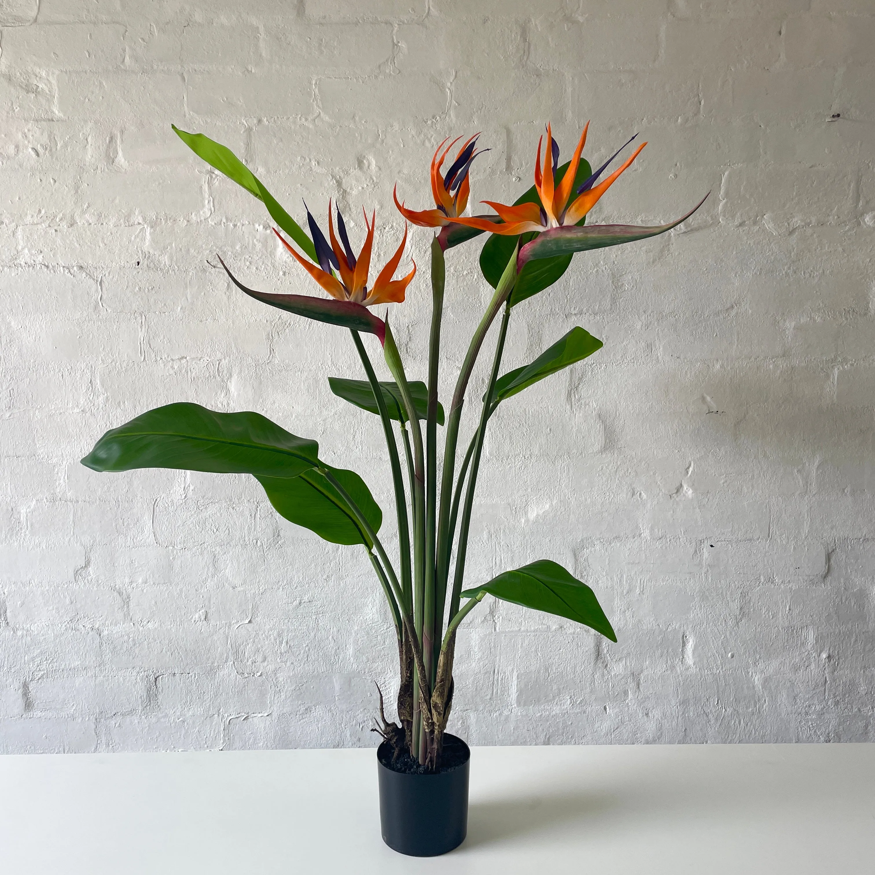 Artificial Flowering Bird of Paradise