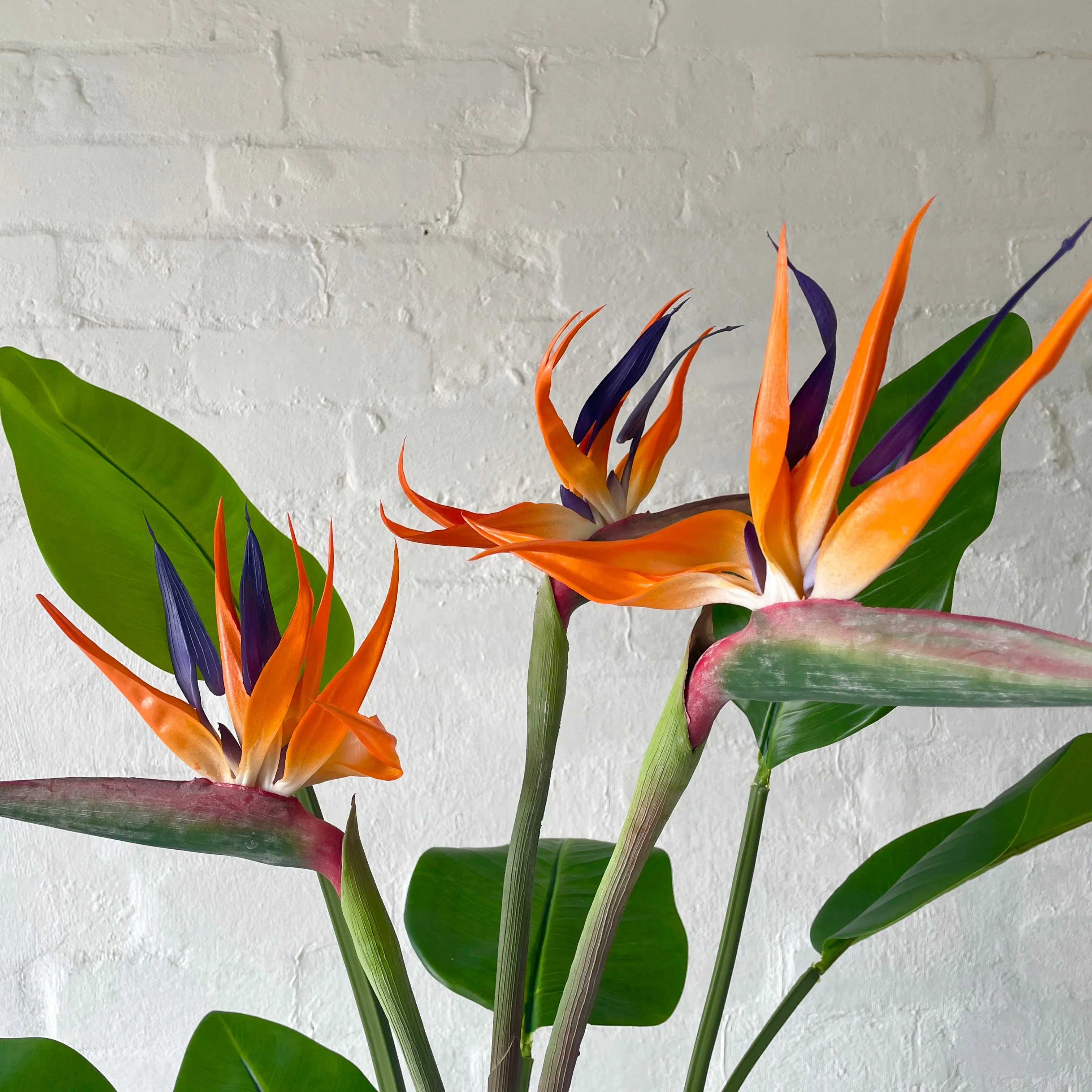 Artificial Flowering Bird of Paradise