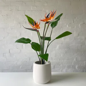 Artificial Flowering Bird of Paradise