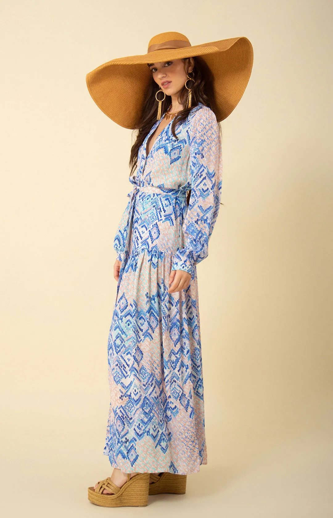 Arya Button Down Maxi Dress