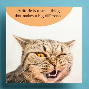 Attitude Greeting Cat Card