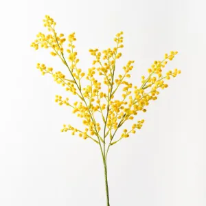 Australian Native Mimosa Wattle Blossom Flower Spray - Yellow