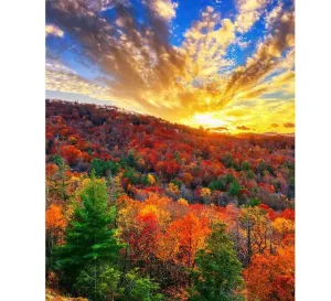 Autumn Fields Diamond Painting, Scenic, Colorful Diamond Art