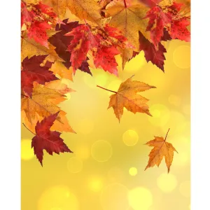 Autumn Sunset Printed Backdrop