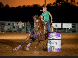 Average horse breast collar mule tape  blue and purple with leather tugs