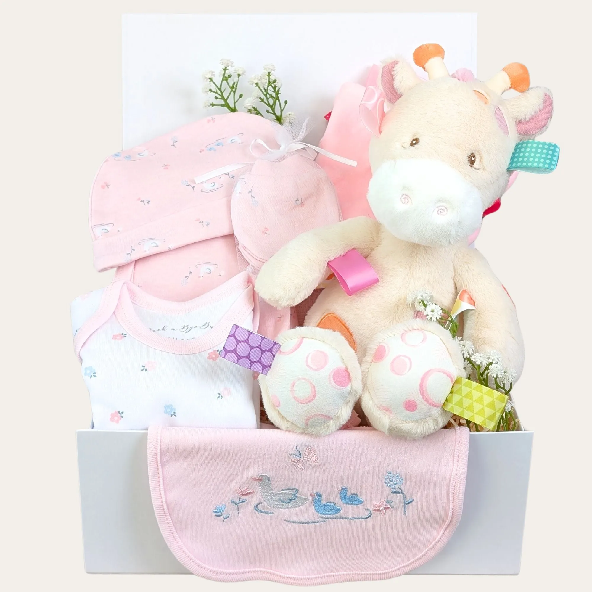 Baby Girl Gifts Box Gorgeous Georgie Giraffe & Clothing Set