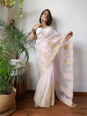 Baby Pink Semi-Pure Organza Saree with Exquisite Lucknowi Work & Matching Blouse