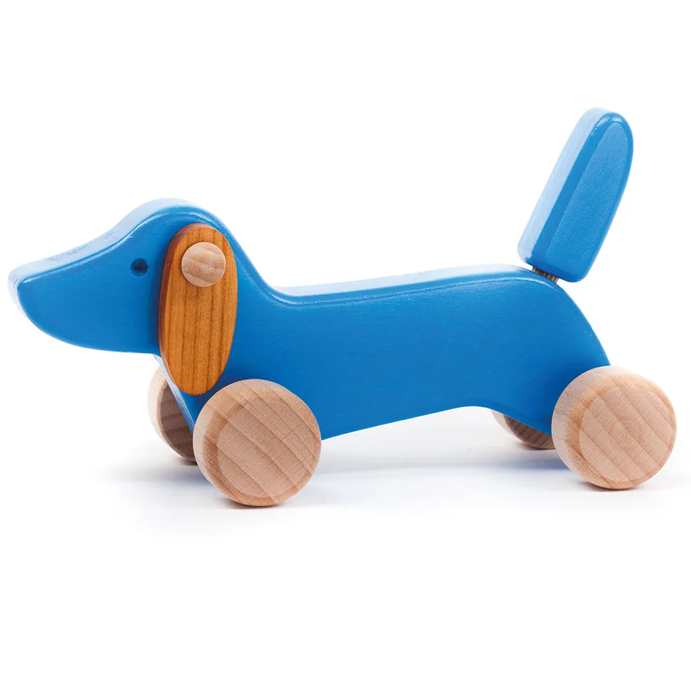 Bajo Blue Dachshund Puppy