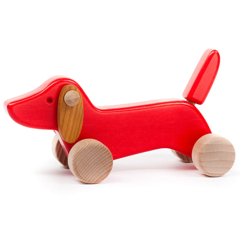 Bajo Red Dachshund Puppy