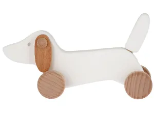 Bajo White Dachshund Puppy