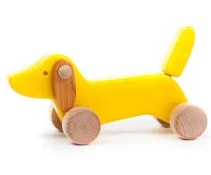 Bajo Yellow Dachshund Puppy