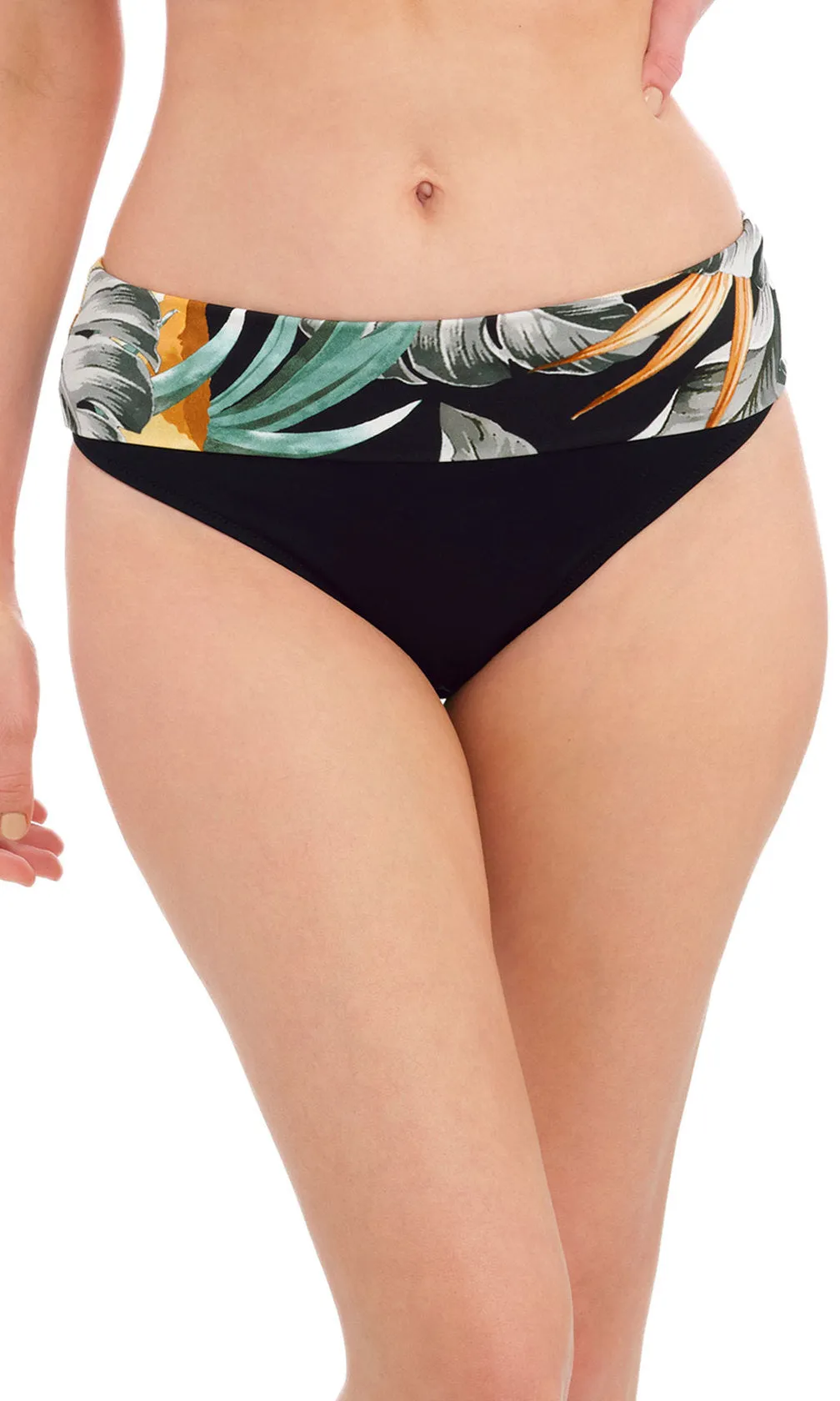 Bamboo Grove Jet Fold Bikini Brief, Special Order S - 2XL