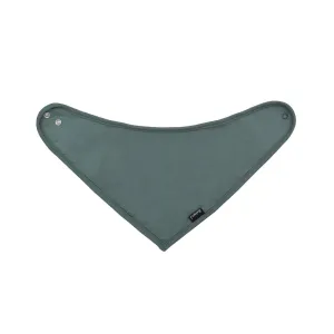 Bandana Bib - Leafy Green