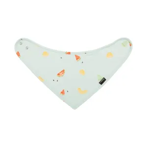 Bandana Bib - Melons