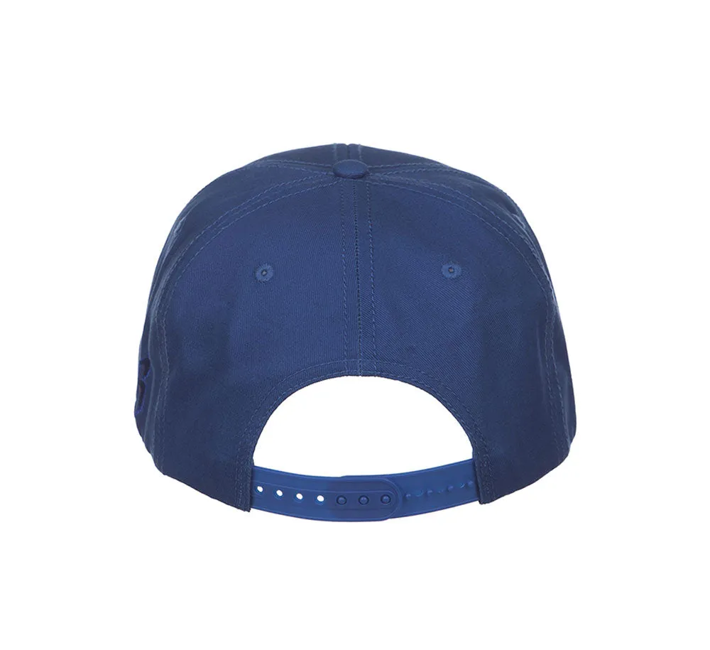 BB DOLLAR SNAPBACK HAT