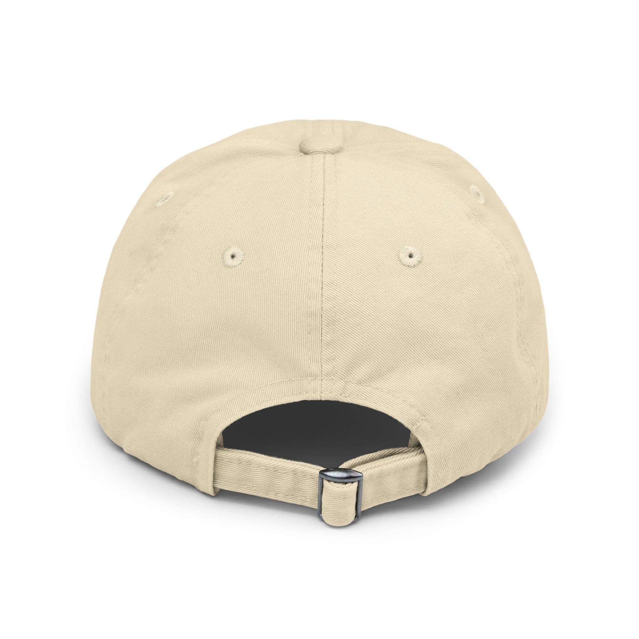 BDSM Distressed Cap in 6 colors