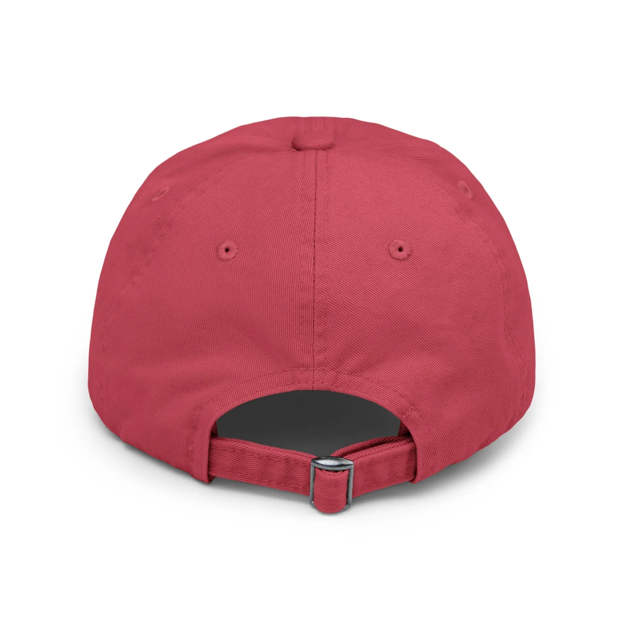 BDSM Distressed Cap in 6 colors