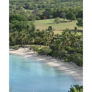 Beach Scenic Printed Backdrop