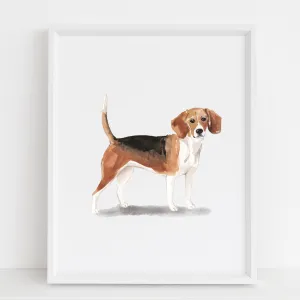 Beagle