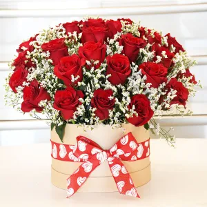 Beautiful Red Roses