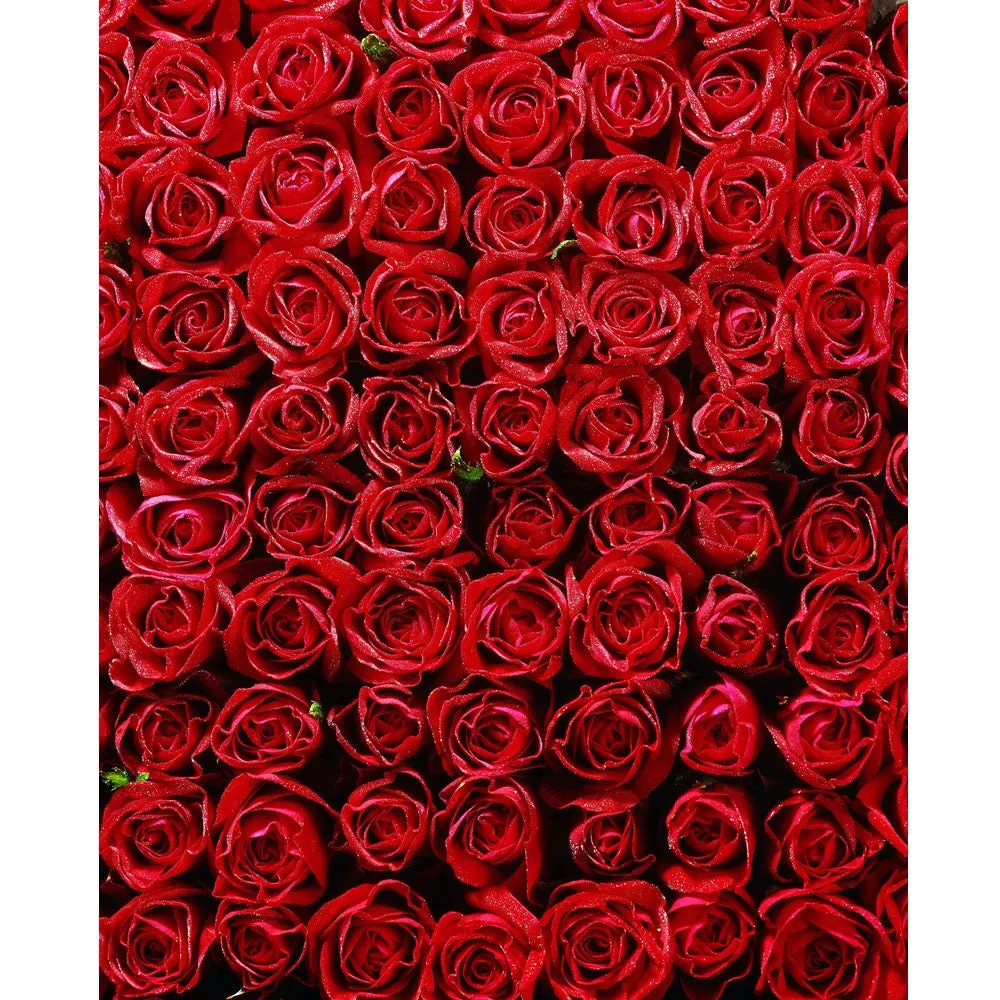 Bed of Roses Printed Backdrop