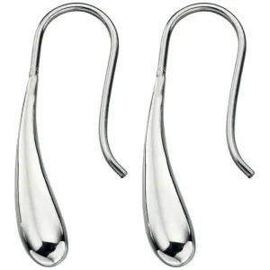 Beginnings Long Drops Drop Earrings - Silver