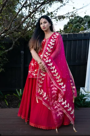 Begum Rani Pink Velvet Kurta and Lehenga Set