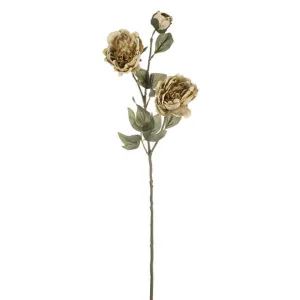 Beige & Green Peony Stem, 27in