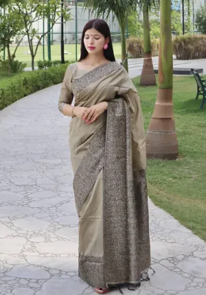 Beige Banglori Handloom Raw Silk  Saree