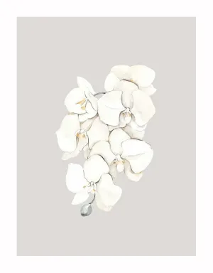 Beige Lilies Unframed Art Print