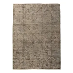 Beige Stelle Contemporary Wool Rug - 8'11" x 12'3"