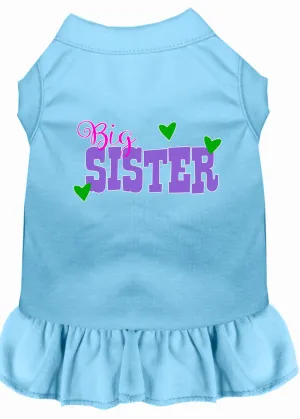 Big Sister Screen Print Dog Dress Baby Blue Sm