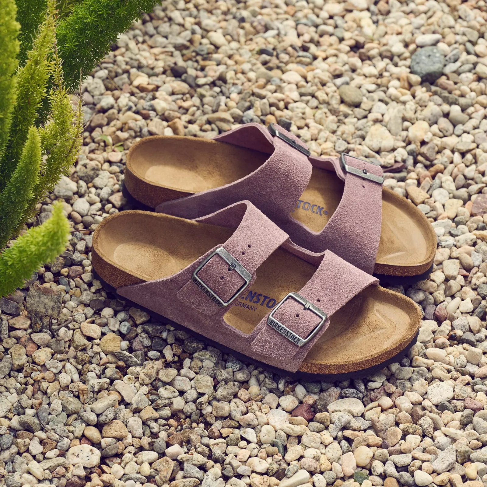 Birkenstock Arizona Soft Footbed Narrow Slide Sandal (Women) - Faded Purple Suede