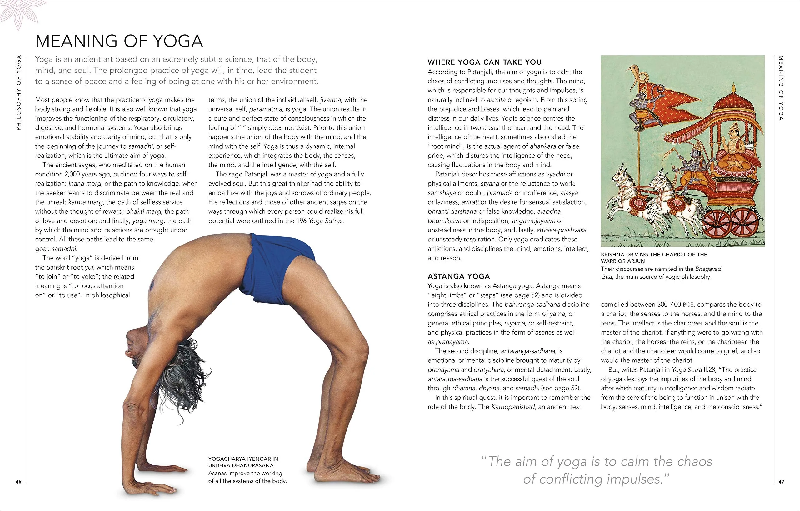 B.K.S. Iyengar Yoga The Path to Holistic Health : The Definitive Step-By-Step Guide (Hardback)