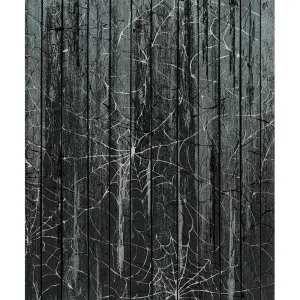 Black Cobweb Planks Printed Backdrop