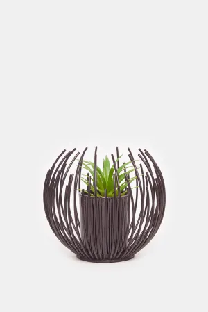 Black Decorative Succulent Plant With Metal Case