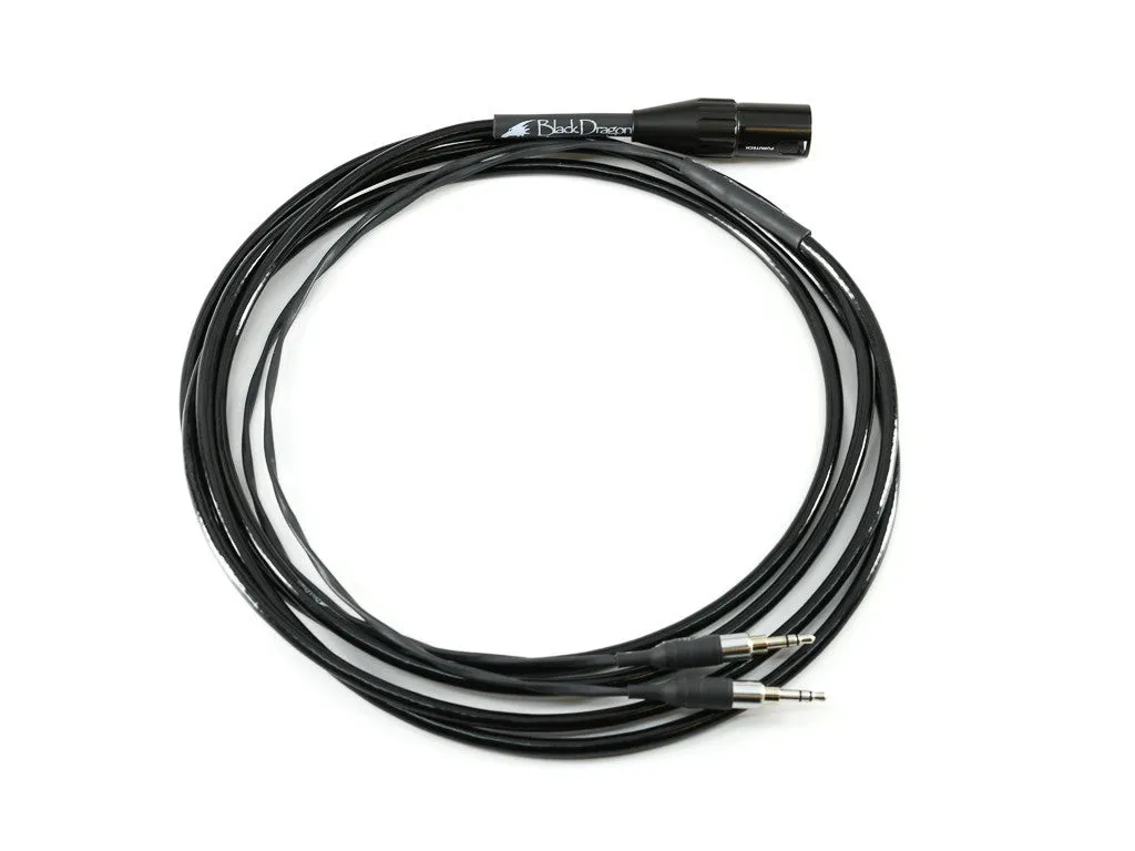 Black Dragon Premium Cable for Denon Headphones