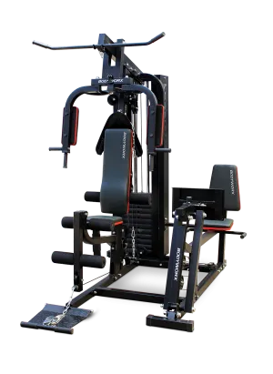 BLACK FRIDAY WEEKEND:  Bodyworx DELUXE-900  Home Gym with Leg Press