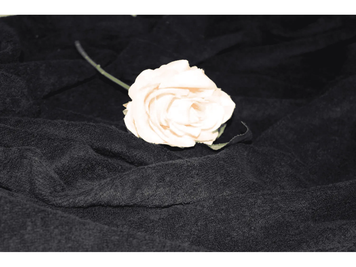 BLACK - Pure Cotton Thick LUXURY TOWELLING Fabric 400 gsm