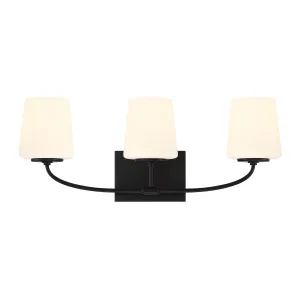 Blake 3 Light Vanity, Matte Black